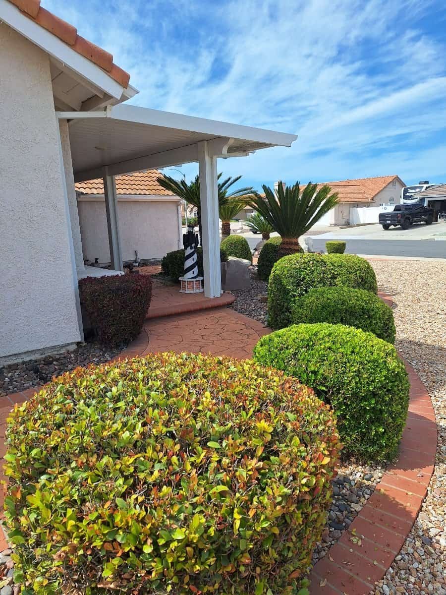 Well-maintained desert landscape featuring lush bushes, palm trees, and a cozy porch in Paradise Val.