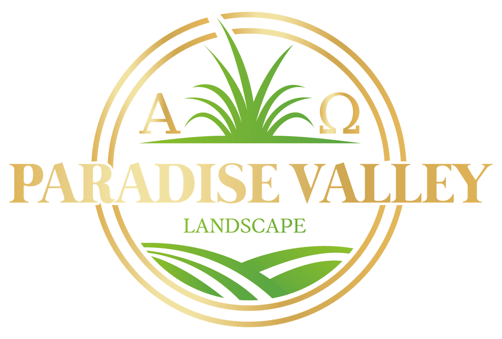 Beautiful desert landscape with lush greenery and vibrant plants in Paradise Valley.